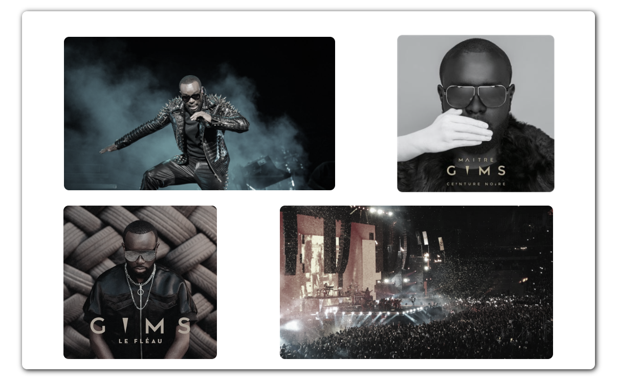 Site Fan Gims